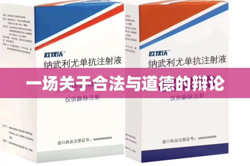 武汉一场关于合法与道德的辩论