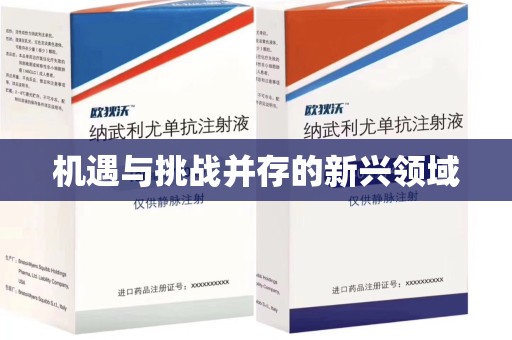 武汉机遇与挑战并存的新兴领域