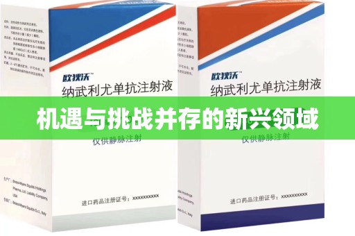 武汉机遇与挑战并存的新兴领域