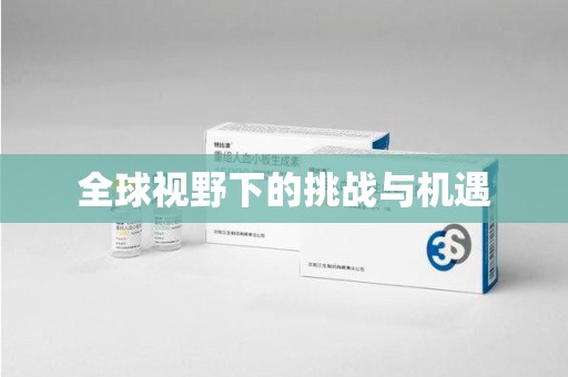 武汉全球视野下的挑战与机遇