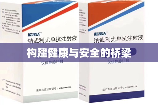 武汉构建健康与安全的桥梁