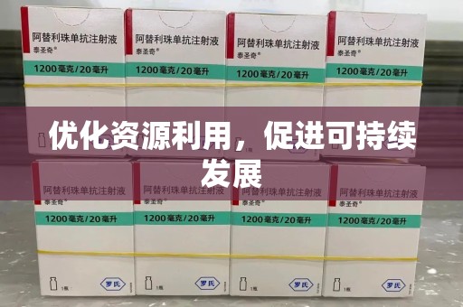 武汉优化资源利用，促进可持续发展