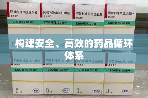 武汉构建安全、高效的药品循环体系