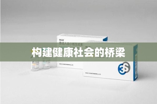 武汉构建健康社会的桥梁
