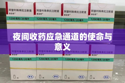 武汉夜间收药应急通道的使命与意义