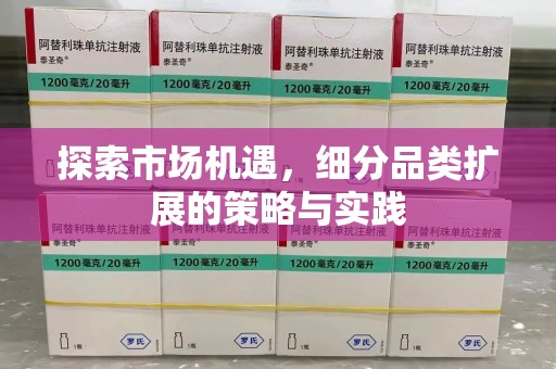 武汉探索市场机遇，细分品类扩展的策略与实践