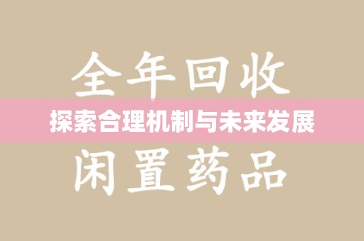 武汉探索合理机制与未来发展