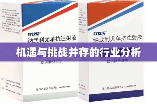 武汉机遇与挑战并存的行业分析
