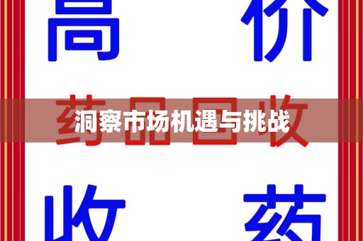 武汉洞察市场机遇与挑战
