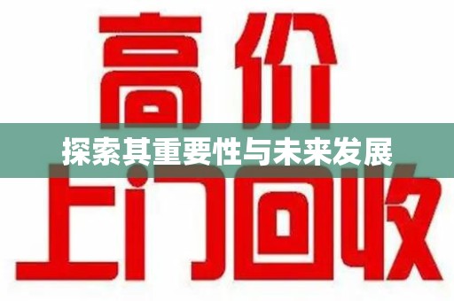 武汉探索其重要性与未来发展