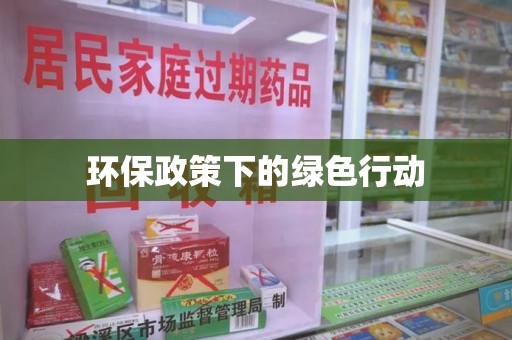 武汉环保政策下的绿色行动