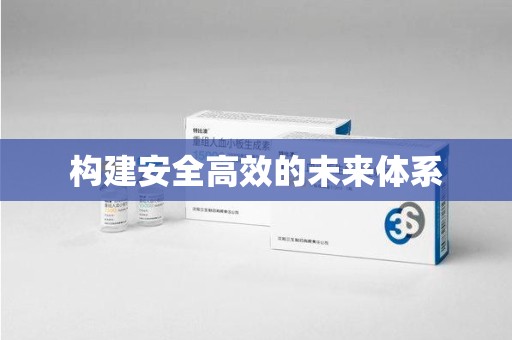 武汉构建安全高效的未来体系