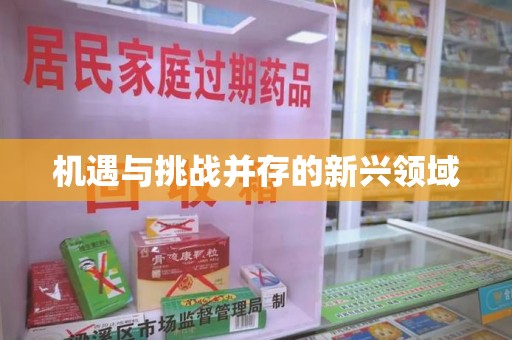 武汉机遇与挑战并存的新兴领域