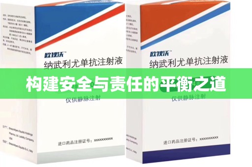 武汉构建安全与责任的平衡之道