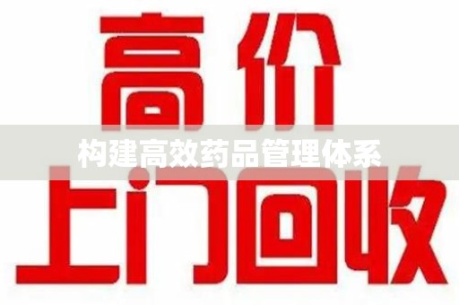 武汉构建高效药品管理体系