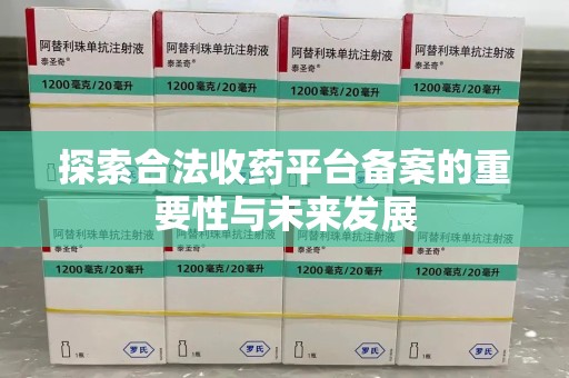 武汉探索合法收药平台备案的重要性与未来发展