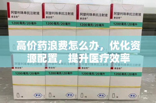 武汉高价药浪费怎么办，优化资源配置，提升医疗效率