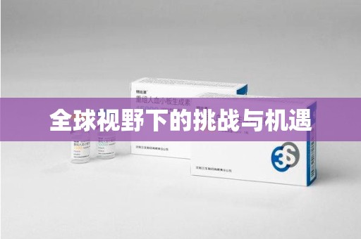 武汉全球视野下的挑战与机遇