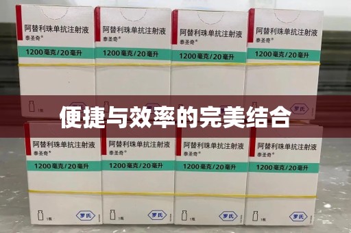 武汉便捷与效率的完美结合
