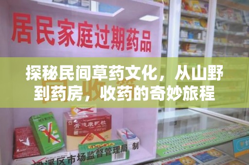 武汉探秘民间草药文化，从山野到药房，收药的奇妙旅程