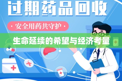武汉生命延续的希望与经济考量