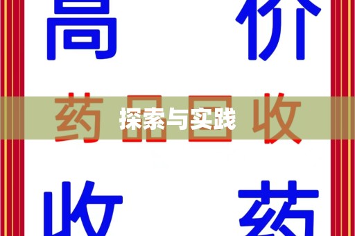 武汉探索与实践