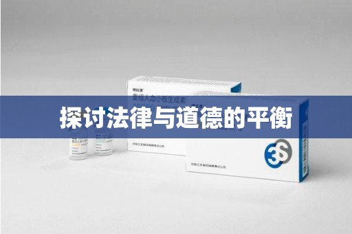 武汉探讨法律与道德的平衡