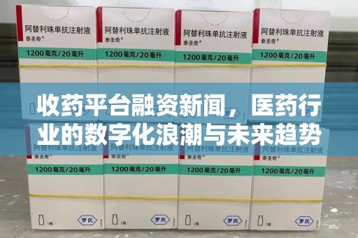 武汉收药平台融资新闻，医药行业的数字化浪潮与未来趋势