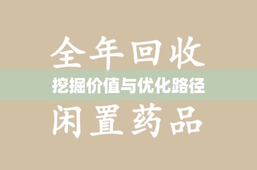 武汉挖掘价值与优化路径