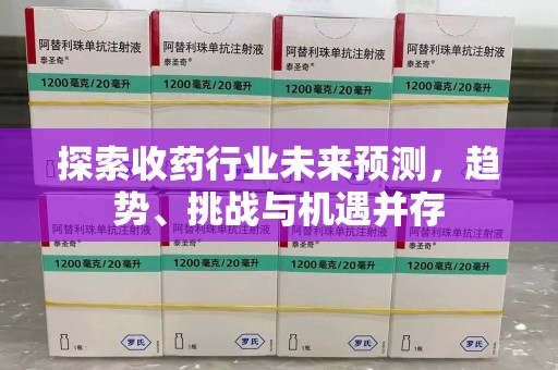 武汉探索收药行业未来预测，趋势、挑战与机遇并存
