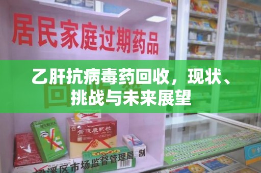 武汉乙肝抗病毒药回收，现状、挑战与未来展望